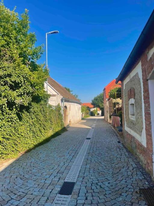 S Vinnym Sklipkem V Srdci Hnanic Prázdninový dům Hnanice (Znojmo)